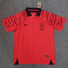 22nd World Cup South Korea home